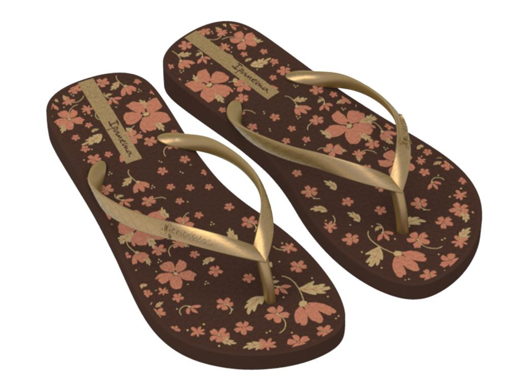 Chanclas ipanema hotsell mujer 2020