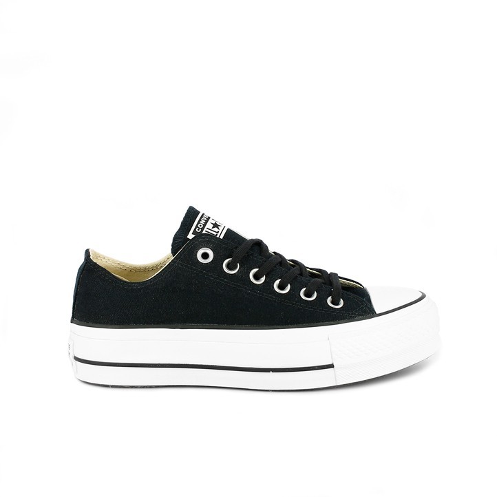 converse querol